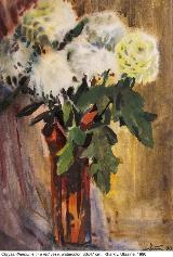 1900_Chrysanthemum_3++